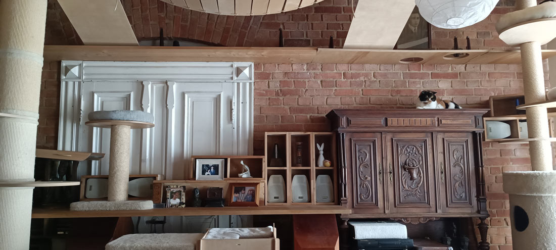 cat-friendly home cat-friendly home